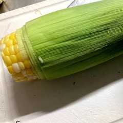 รูปของ 皮を剥かずにレンジでチン！とうもろこし