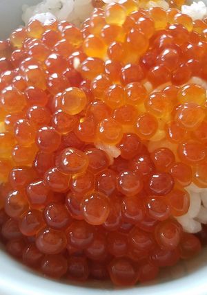 ぷっつん!ぷっつん!のいくらの醤油漬け-レシピのメイン写真
