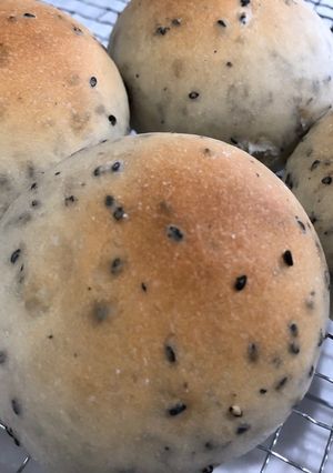 ゴマ丸パン-レシピのメイン写真