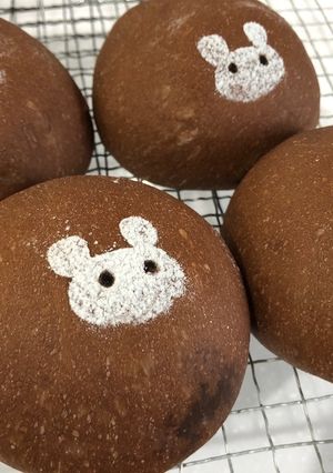 ココアチョコパン-レシピのメイン写真