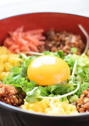 ～豚ひき肉～彩り豊かな甘辛そぼろ丼-レシピのメイン写真