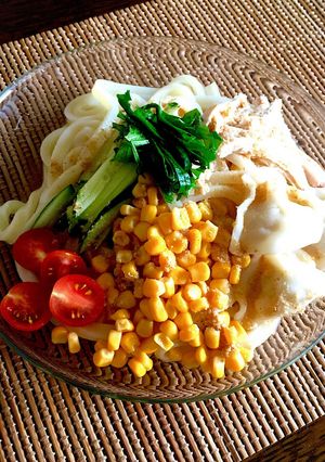 棒棒鶏風ぶっかけうどん～水餃子のせ～-レシピのメイン写真