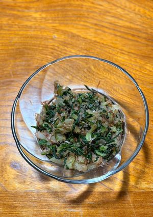 30分でできる白菜の浅漬け-レシピのメイン写真
