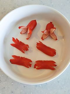レンジでタコさんウインナー❢カニさんも。-レシピのメイン写真