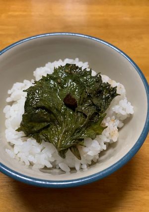 青じその醤油漬け-レシピのメイン写真