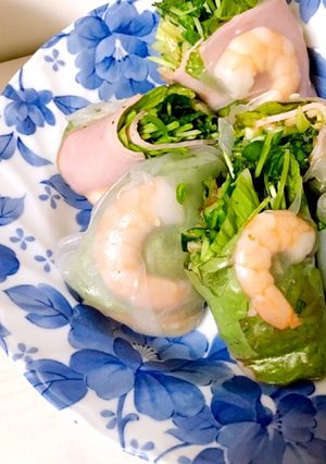 バーニャカウダ梅で食べる生春巻き-レシピのメイン写真