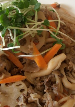 牛肉とレンコンのあまから炒め-レシピのメイン写真