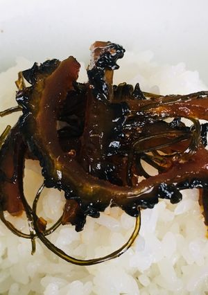 ご飯のお供に♪ゴーヤの佃煮-レシピのメイン写真