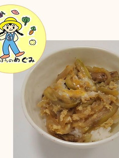 【地場農産物】ナス丼-レシピのメイン写真