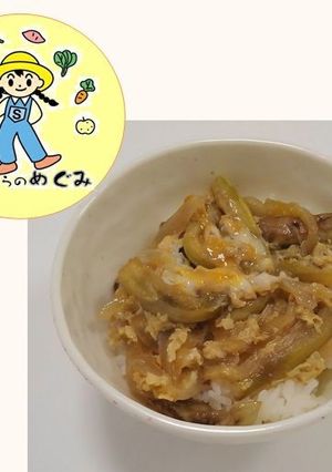 【地場農産物】ナス丼-レシピのメイン写真