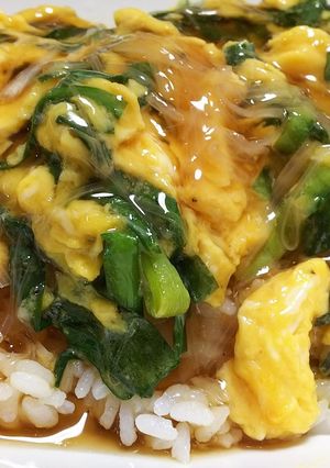 ニラ玉ネギあんかけご飯(丼)＊おかずにも-レシピのメイン写真