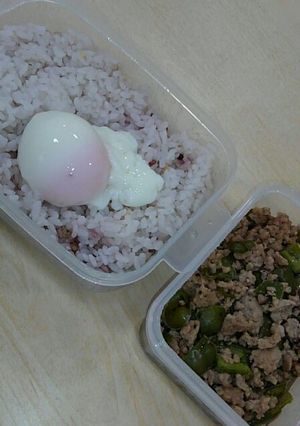 簡単！本格！ガパオライス-レシピのメイン写真