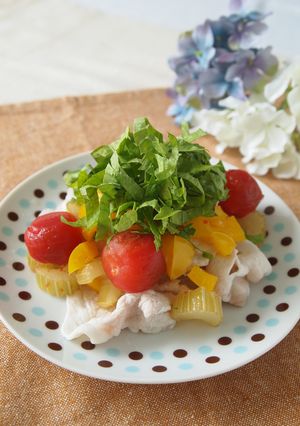 vol.14 冷しゃぶ夏野菜ピクルスのせ-レシピのメイン写真