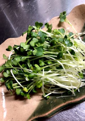 貝割れ大根のタネが簡単に♪-レシピのメイン写真