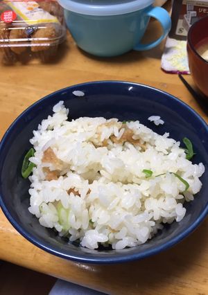 唐揚げご飯-レシピのメイン写真