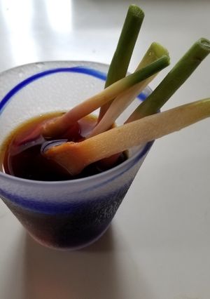 見たことないけど？谷中生姜の酢醤油漬け-レシピのメイン写真