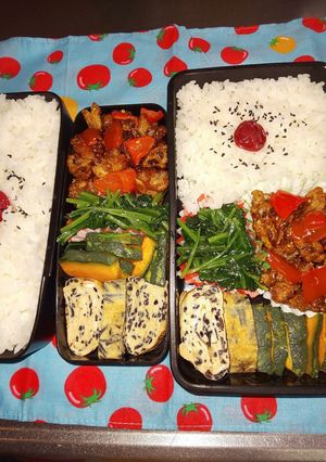 野菜たっぷり男子弁当 66-レシピのメイン写真