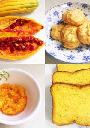 色々使える♡完熟ゴーヤペースト-レシピのメイン写真