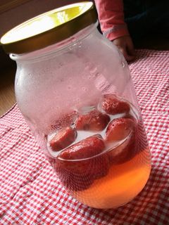 自家製酵母*私にも出来たよのイチゴ酵母*-レシピのメイン写真
