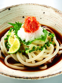 キムチのせ☆ぶっかけうどん-レシピのメイン写真