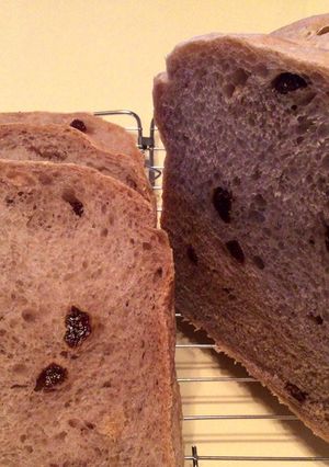 ヴィーガン対応レーズン入りフランス風パン-レシピのメイン写真