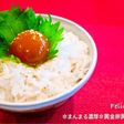 ✼まんまる濃厚✼黄金卵黄の醤油漬け