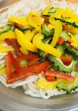 パプリカ＆ゴーヤーの彩り冷やしうどん-レシピのメイン写真