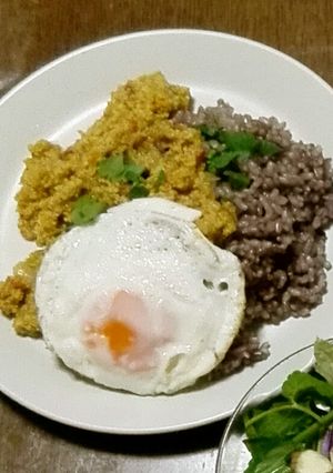 高野豆腐のキーマカレー-レシピのメイン写真