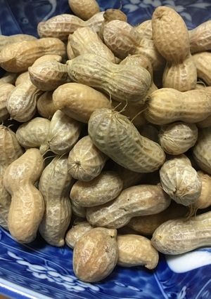 この時期だけ!! 茹で落花生♩-レシピのメイン写真