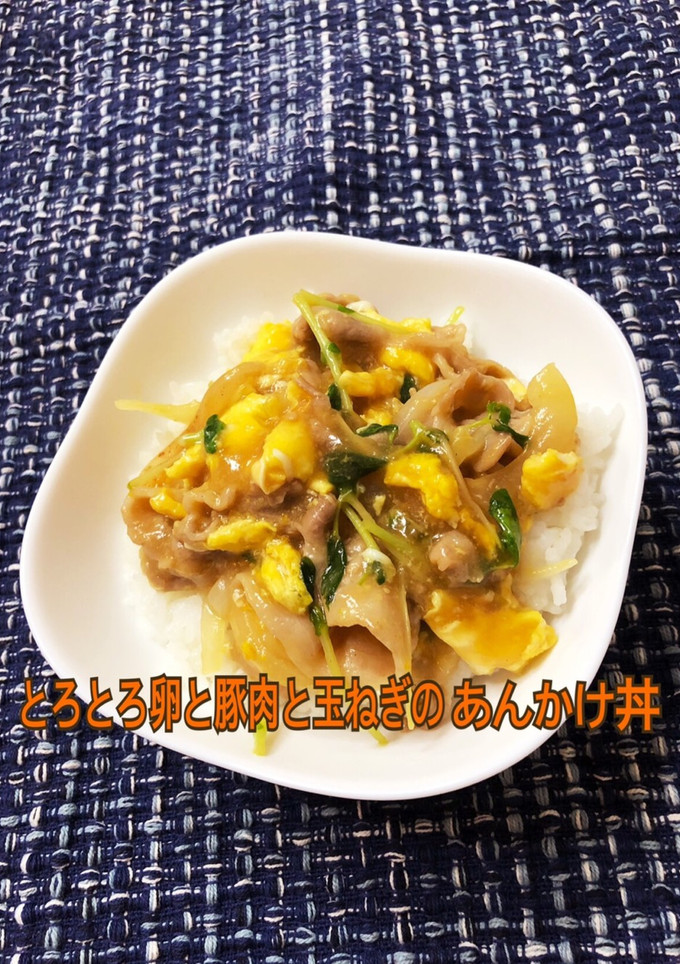 とろとろ卵と豚肉と玉ねぎのあんかけ丼-レシピのメイン写真