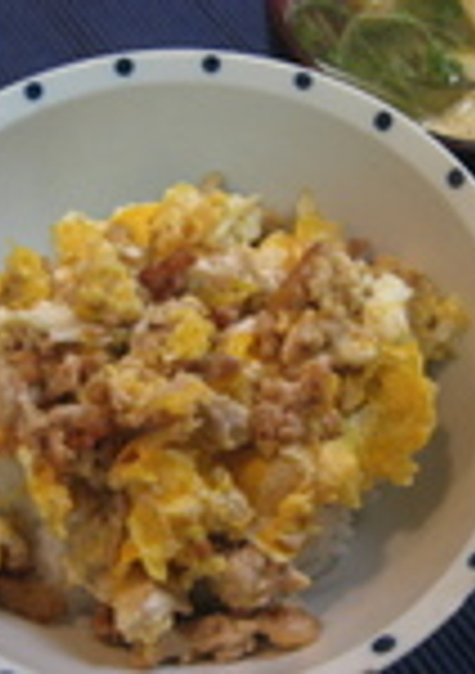 そぼろご飯-レシピのメイン写真