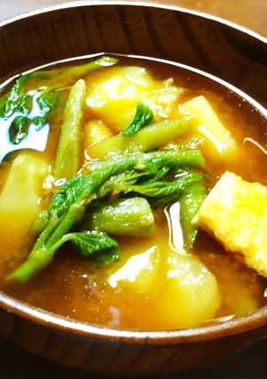 山菜山うどの葉、穂先とじゃがいもの味噌汁-レシピのメイン写真