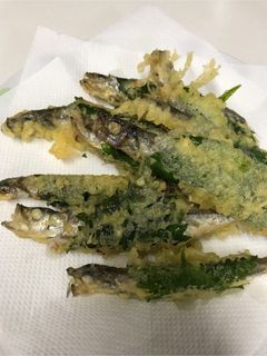 ししゃも天ぷら-レシピのメイン写真