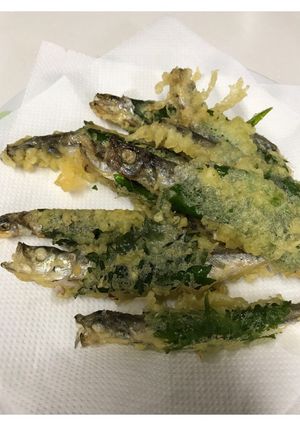 ししゃも天ぷら-レシピのメイン写真