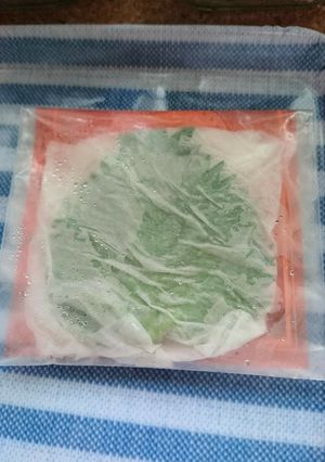 現状維持でぇすヽ(‾▽‾)ノ-レシピのメイン写真