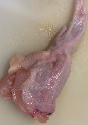 手羽先の骨の抜き方-レシピのメイン写真