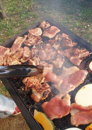 BBQに!包丁いらずの照り焼きチキン-レシピのメイン写真