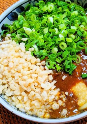 油揚げ入りレトルトカレーうどん-レシピのメイン写真