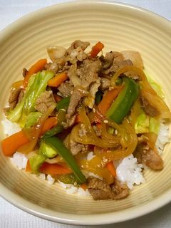 野菜もとれる焼肉丼-レシピのメイン写真