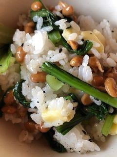 納豆と小松菜の胡麻和え、チーズご飯-レシピのメイン写真