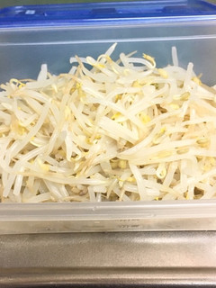 もやしを保存して☆最後まで食べきる方法-レシピのメイン写真