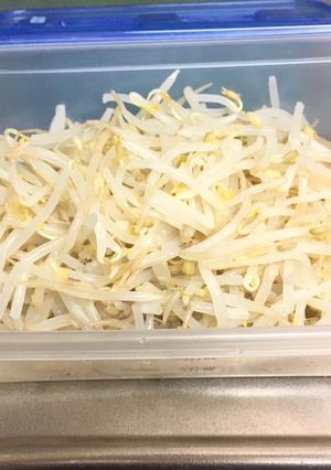 もやしを保存して☆最後まで食べきる方法-レシピのメイン写真