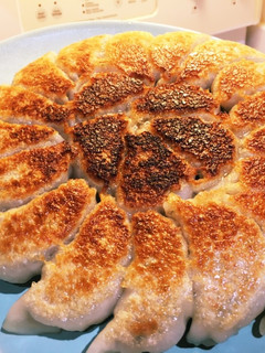 野菜たっぷりポーク餃子 プロレシピ-レシピのメイン写真