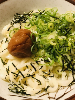 ネギと梅干しのシンプルぶっかけうどん-レシピのメイン写真