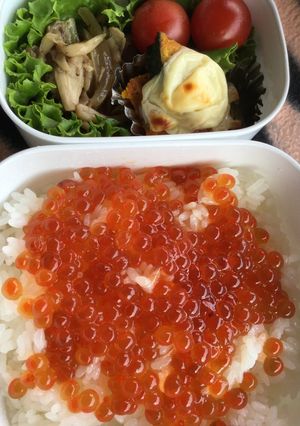 手作りイクラ丼弁当♪-レシピのメイン写真