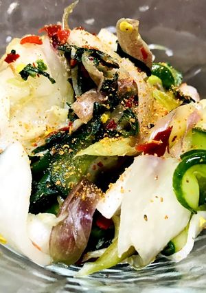簡単時短いろいろ野菜の浅漬け-レシピのメイン写真