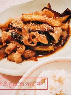 ナスと豚バラのこっくり*とろとろ煮-レシピのメイン写真