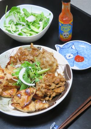 照り焼きのタレと肉ごとの漬け込み時間覚書-レシピのメイン写真