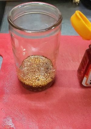 ゴマ醤油が、メインです-レシピのメイン写真