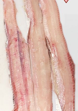 【基本】太刀魚の捌き方(三枚おろし)-レシピのメイン写真
